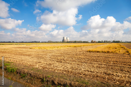 View of the coolin towers of the Trino 2 nuclear power plant (Trino Vercellese, Piedmont, Northern Italy), with ready to harvest paddy fields in the foreground. This power plant was put out of service