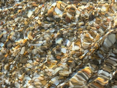 Little stones and shells under clear sea water