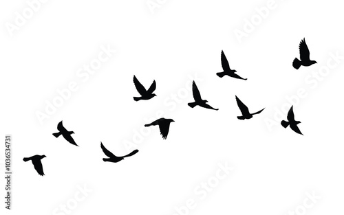 Flying birds silhouettes pattern wallpaper. Vector illustration. isolated bird flying. tattoo design. template for card, package, and wallpaper.