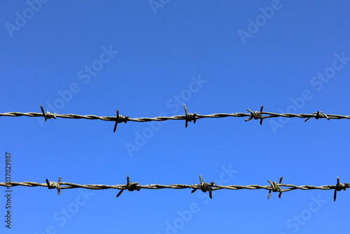 Barb wire fence. Blue sky as background.