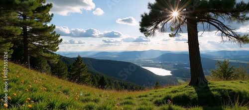 Scene featuring a sunlit nature landscape with natural elements like trees flowers and water