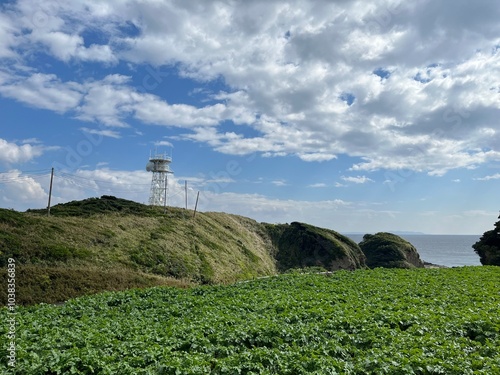 三浦半島の風景