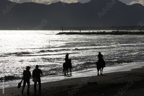 Passeggiata in riva al mare con cavallo 1