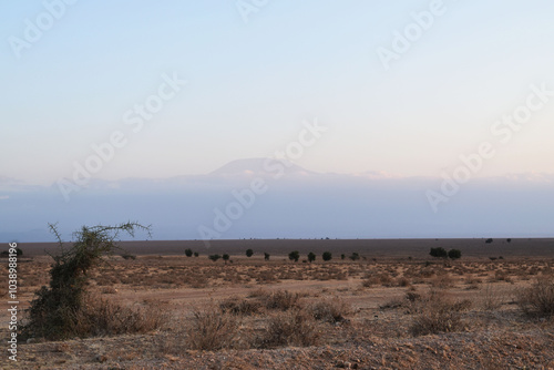 Mount Kilimanjaro appearing above clouds in kenyan savanna