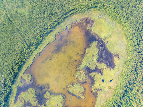 Aerial view of lake or river green shore with forest. Summer season.