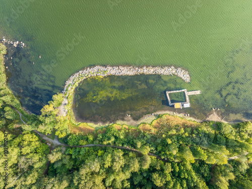 Aerial view of lake or river green shore with forest. Summer season.