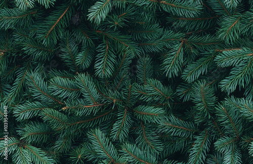 Seamless green background of Christmas fir tree branches, festive New Year pattern