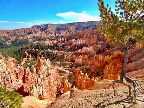 Bryce Canyon National Park in Utah