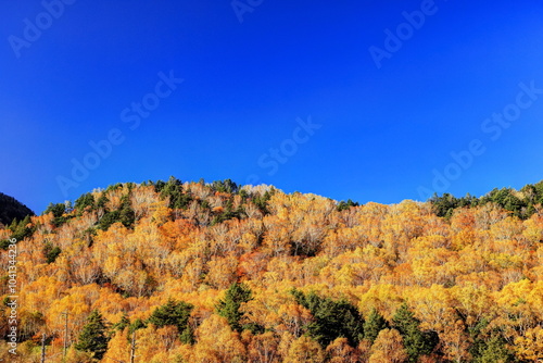 志賀高原ほたる温泉からの紅葉