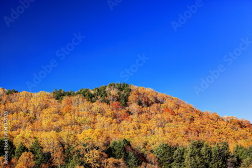 志賀高原ほたる温泉からの紅葉