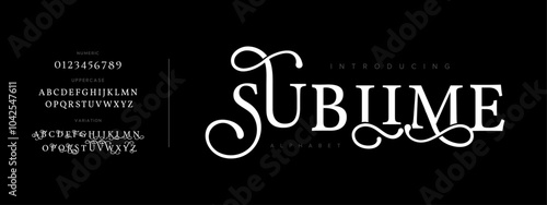 Sublime typography beauty fashion elegant minimalist serif italic fonts decorative wedding vintage retro logos. Minimal luxury font alphabet logo. Vector illustration