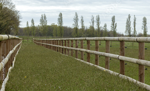 Clôture en bois pour chevaux