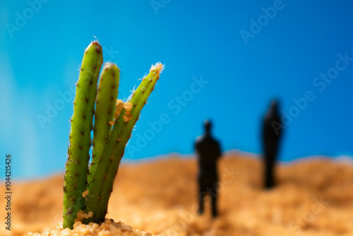 cactaceae, fábrica, naturaleza, desierta, flor, huerta, césped, hojas, aislada, suculenta, espina, macro, verano, árbol, close-up, insaturado, botánico, primavera, flora, botánica, verde, cactaceae, c