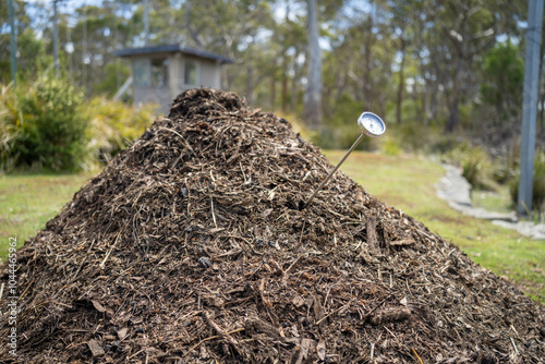 turning a compost pile in a community garden. compost full of microorganisms. sustainable regenerative agriculture with a soil sample. measuring the temperature with a thermometer