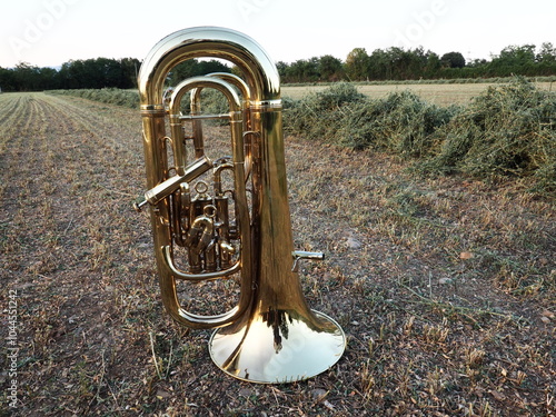 Euphonium posing in nature