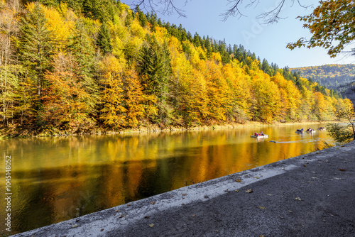 Wooden raft (tratwa flisacka) filled with tourists floating on the Dunajec river in the Pieniny National Park. The Dunajec Gorge in autumn. Mountains. Traditional rafting . Beautiful yellow trees on t