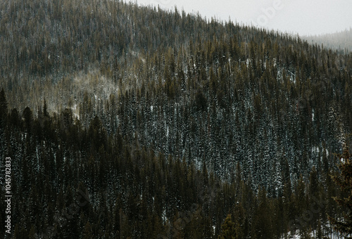 Mountain range during a snow storm in Fraser, CO on December 21st, 2022...