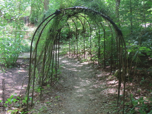 wooden bridge in the woods