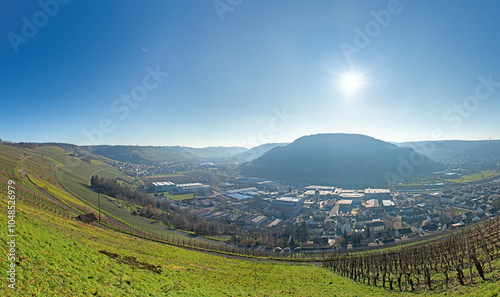 Hohenlohe, Blick vom Bromberg über Weinreben ins Kochertal auf Niedernhall