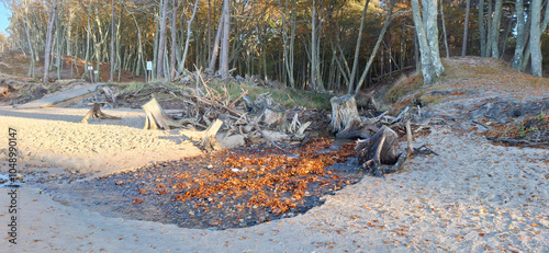 Ujście rzeki Orzechowa do Bałtyku. Ustka. Orzechowo.