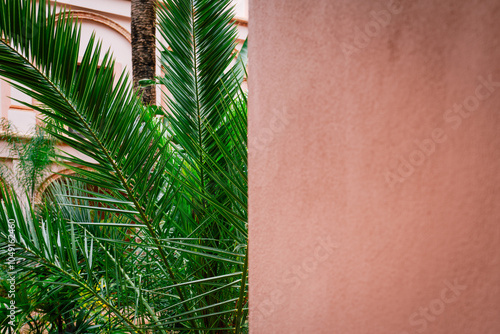 a textured background with pink stucco wall detail and green palm leaves. half and half with modern colours. copy space graphic design background resource for blog articles