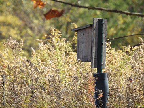 bird nest box 