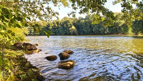 Alder and other deciduous trees grow on the bank of the river. The branches overhang the water. Large boulders lie in the water. There is a wave on the water. Sunny autumn weather