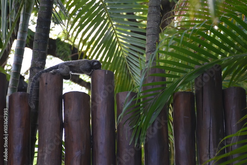 praia do forte - bahia