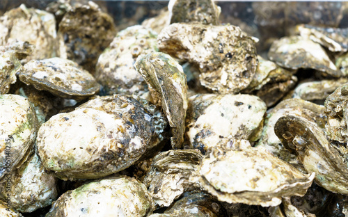 Oysters close up background taken at market