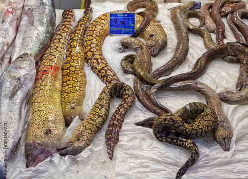 Moray eels on display at Spanish fish market