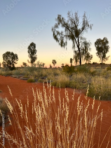 Uluru