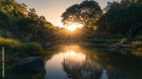 A radiant sun, fully risen above the horizon, illuminates a beautiful clearing within a dense forest. Golden rays of light pierce through the tall treetops, creating luminous beams that fan out across