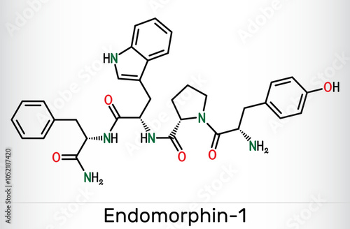 Endomorphin-1 (EM-1) molecule. Endogenous opioid peptide for pain modulation. Skeletal chemical formula. Vector