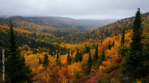 Scenic overlook of a valley filled with trees in autumn colors