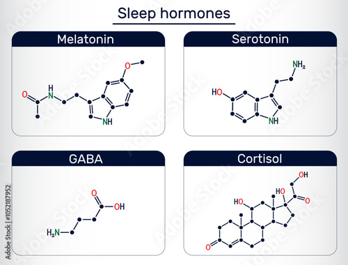 Sleep hormone molecule. Structure and function of melatonin, serotonin, GABA (gamma-aminobutyric acid), and cortisol. Vector