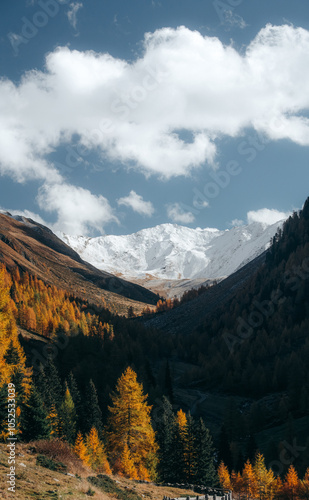 Stunning autumn mountain scenery in the Alps with snowcapped mountain tops and golden larches in fall 