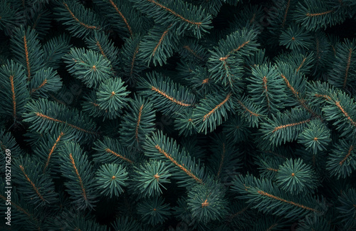 Abstract green background of Christmas fir tree branches, festive New Year pattern