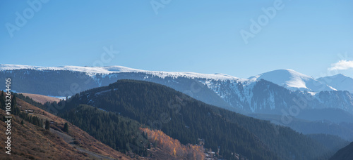 vast alpine vista with layered mountains; the foreground features sunlit, russet-colored slopes transitioning to dark coniferous forests, culminating in the snow-blanketed peaks under a soft blue sky