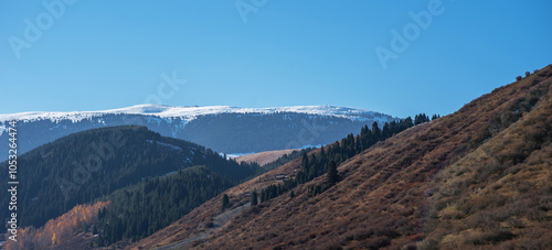 vast alpine vista with layered mountains; the foreground features sunlit, russet-colored slopes transitioning to dark coniferous forests, culminating in the snow-blanketed peaks under a soft blue sky