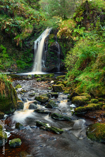 Hindhope Linn in portrait, a waterfall located at the northern end of the Kielder Forest Drive in Northumberland