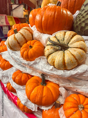 diferentes tipos de calabazas