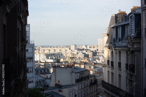 Rooftops and paris skyline in montmartre in the sun