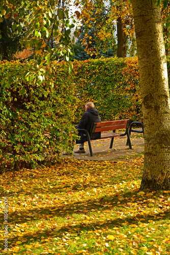 samotny mężczyzna na ławce w jesiennym parku, park jesienią, złota, polska jesień, kolorowe, jesienne liście, samotny mężczyzna na ławce w jesiennym parku