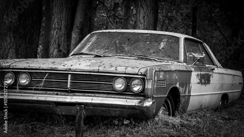 Monterey Hardtop 1: A classic car is abandoned in the forest.