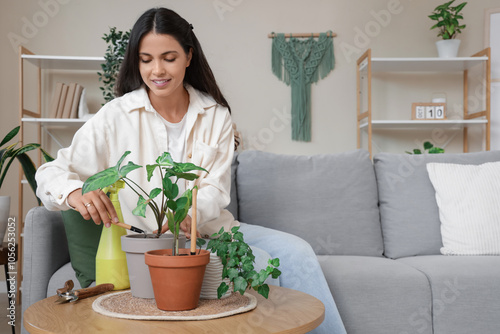 Pretty young woman with gardening rake taking care of houseplant at home