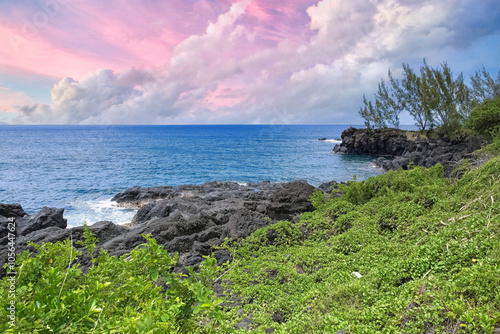 La Reunion island, seascape at Sainte-Rose, palm trees on the coast, with solidified lava flow 