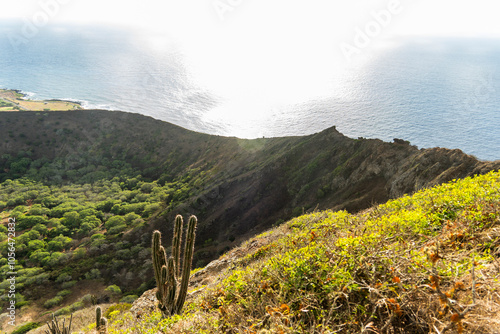 koko crater trail honolulu Hawaii 