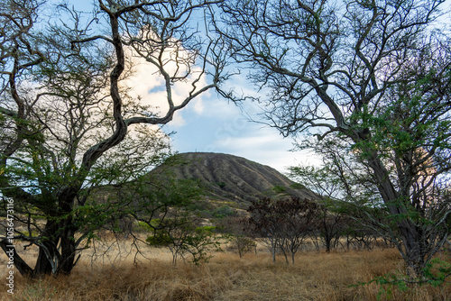 koko crater trail honolulu Hawaii 