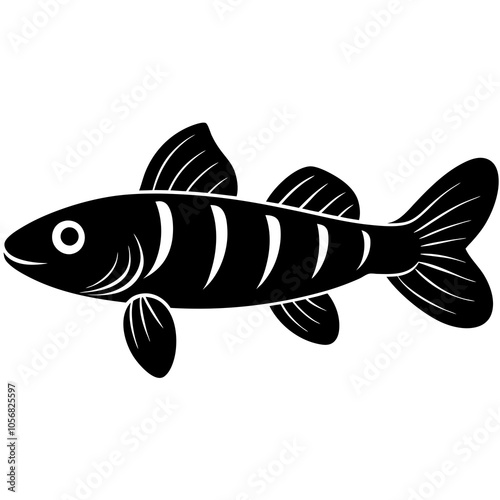 fish on a white background