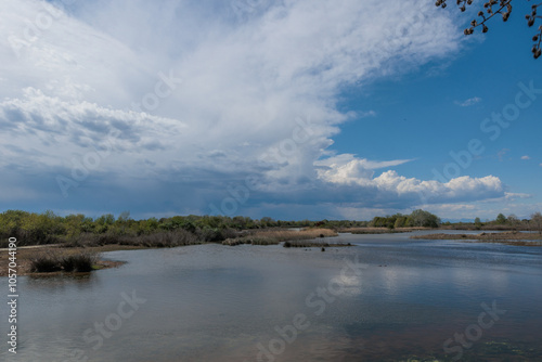 vista panoramica di un ambiente naturale di palude, tra la foce di un fiume ed il mare, di pomeriggio, in primavera, con vista su un vasto temporale lontano che copre il cielo